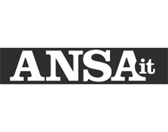 ansa