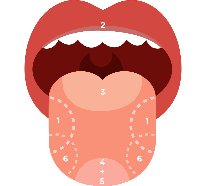tastes